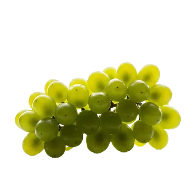 Imagen PNG para descargar